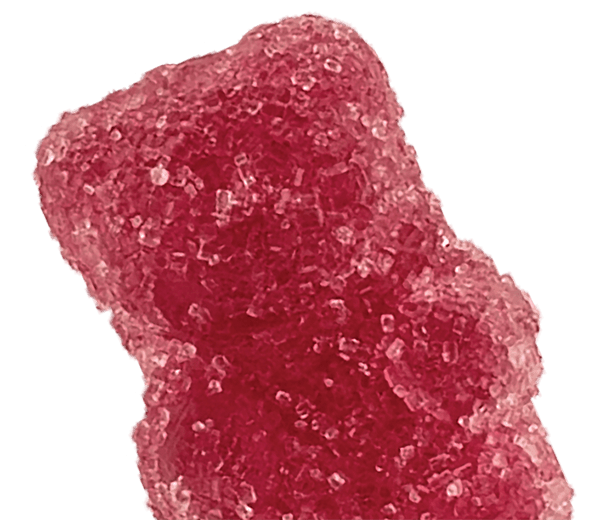 maroon yummi bear